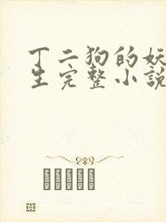 丁二狗的妖孽人生完整小说txt