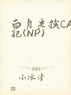 白月光挨CAO记(NP)