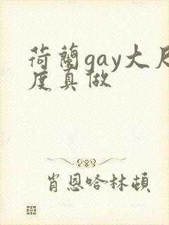 荷兰gay大尺度真做封面