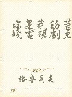 你是我的荣耀在线电视剧免费观看