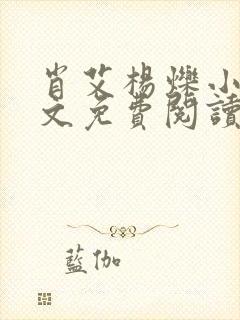 肖艾杨烁小说全文免费阅读笔趣阁