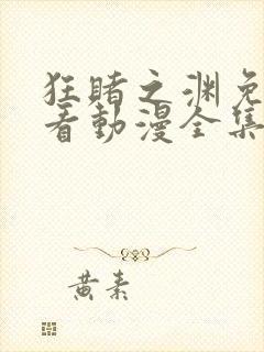 狂赌之渊免费观看动漫全集高清