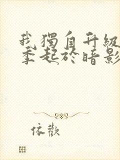 我独自升级第二季起于暗影观看