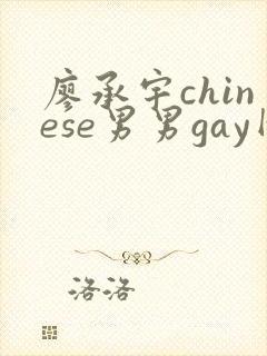 廖承宇chinese男男gay网站