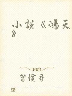 小说《鸿天神尊》