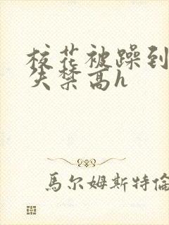 校花被躁到高潮失禁高h