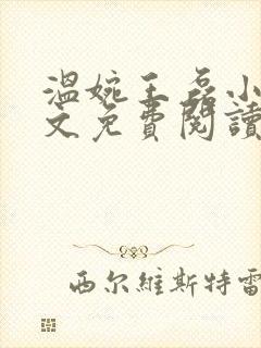 温婉王磊小说全文免费阅读无弹窗