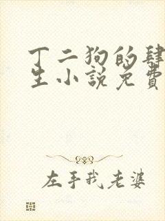 丁二狗的肆意人生小说免费