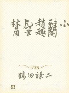 林凡赵雅小说主角笔趣阁封面