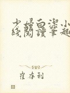 少妇白洁小说在线阅读笔趣阁封面