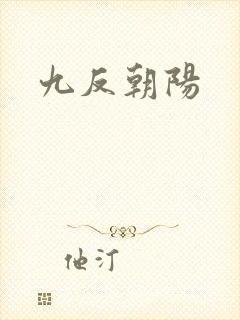 九反朝阳封面