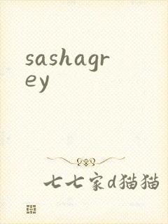 sashagrey封面
