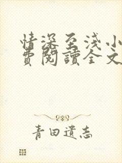 情深至浅小说免费阅读全文