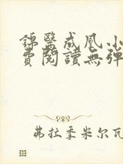 锦医成凰小说免费阅读无弹窗