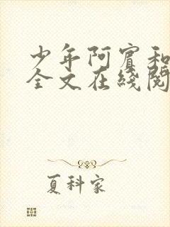 少年阿宾和房东全文在线阅读