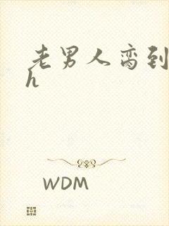 老男人脔到她哭h