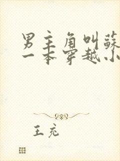 男主角叫苏灿的一本穿越小说