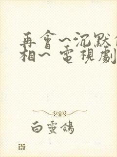 再会~沉默的真相~ 电视剧在线观看封面