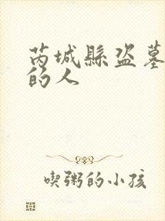 芮城县盗墓判刑的人