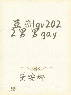 亚洲gv2022男男gay封面