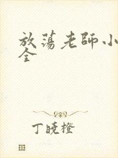 放荡老师小说大全