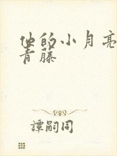 他的小月亮by青藤