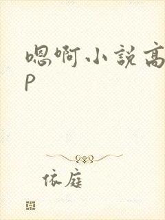 嗯啊小说高hnp