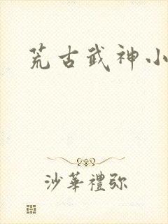 荒古武神小说