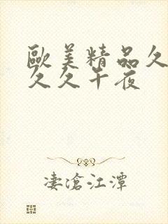 欧美精品久久久久久午夜