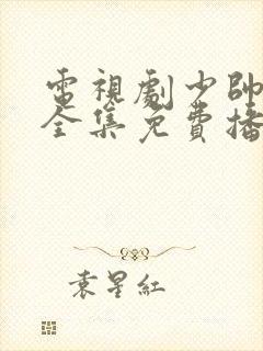 电视剧少帅48全集免费播放