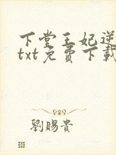 下堂王妃逆袭记txt免费下载封面