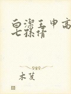 白洁王申高义老七孙倩