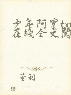 少年阿宾txt在线全文阅读