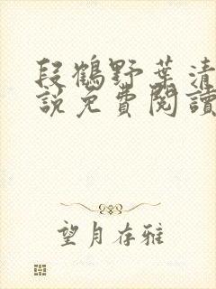 段鹤野叶清璃小说免费阅读最新章节