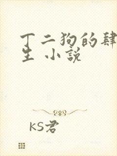 丁二狗的肆意人生 小说