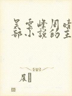 吴云峰周晴是哪部小说的主人公