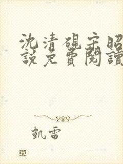 沈清砚宋昭汐小说免费阅读最新章节