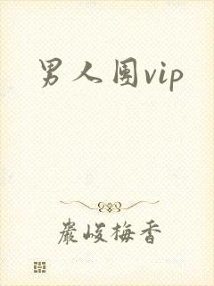 男人团vip封面
