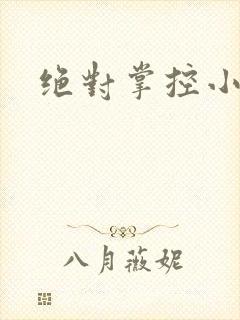 绝对掌控小说