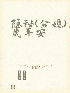 隐秘(公媳)岁岁平安封面