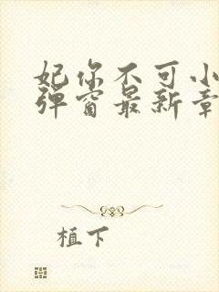 妃你不可小说无弹窗最新章节