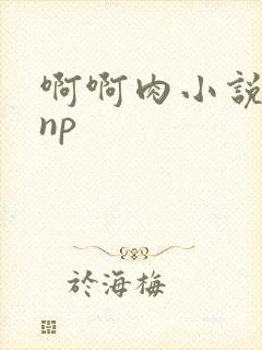 啊啊肉小说嗯嗯np