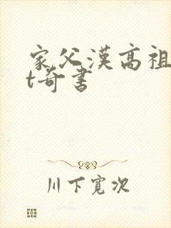 家父汉高祖txt奇书