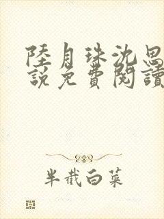 陆月珠沈思诚小说免费阅读最新章节