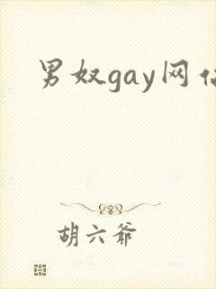 男奴gay网站