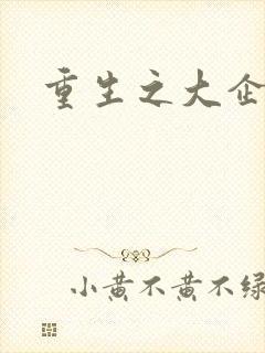 重生之大企业家