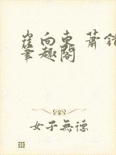 崔向东 萧错 笔趣阁