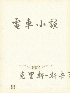 电车小说封面