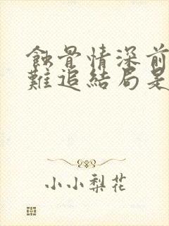 蚀骨情深前妻太难追结局是什么封面