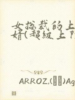 女总裁的上门女婿(超级上门女婿)封面